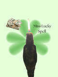 Miss Lucky Spell